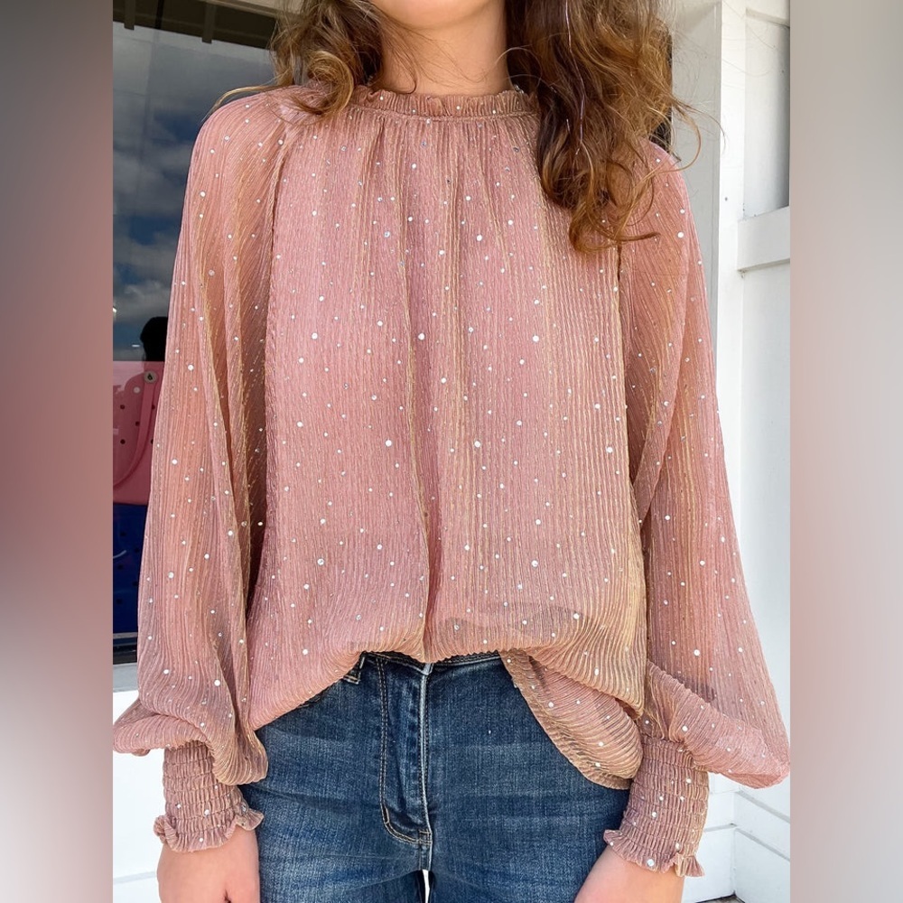 NWT Umgee Mauve Shimmer Pleated Sheer Blouse Long Sleeve Ruffle Mock Neck